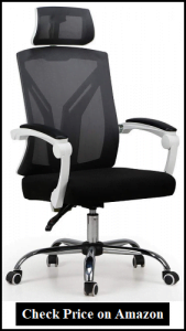 Hbada Ergonomic Chair