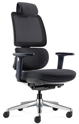 ALFA Furnishing Executive Chair Computer Chair with Lumbar Support and Adjustable 3D Armrests