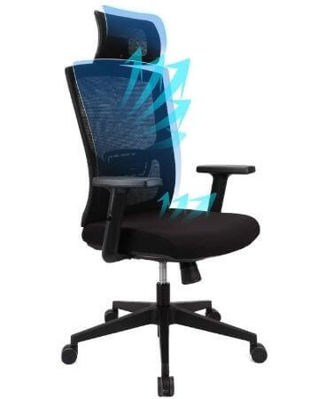 Ergousit Ergonomic Office Chair