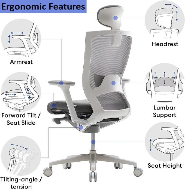 T50 Home Desk Chair features