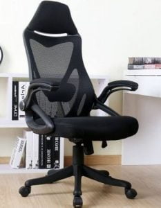 BERLMAN Ergonomic - Best Computer Chair for Back Pain