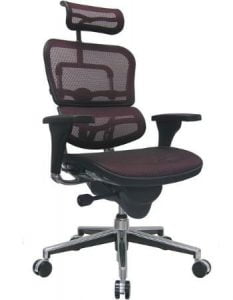 Ergohuman High-Back Mesh Chair with Headrest