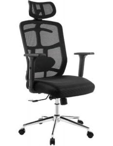 TOPSKY Mesh Best Office Chair for Lower Back