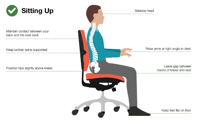 Adjust Lumbar Support On Office Chairs